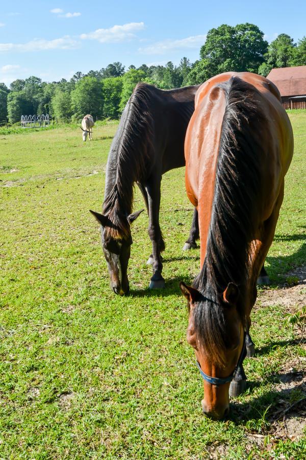 Dublin Farm Bed & Breakfast ภายนอก รูปภาพ