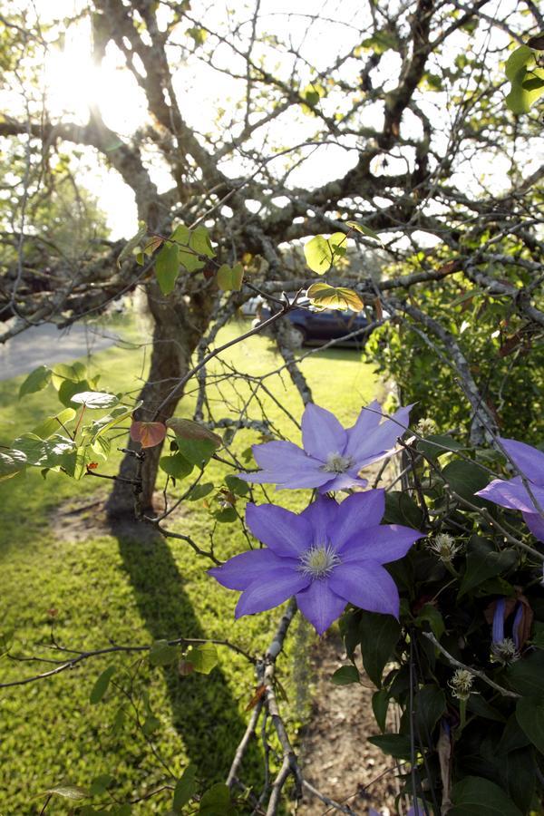 Dublin Farm Bed & Breakfast ภายนอก รูปภาพ
