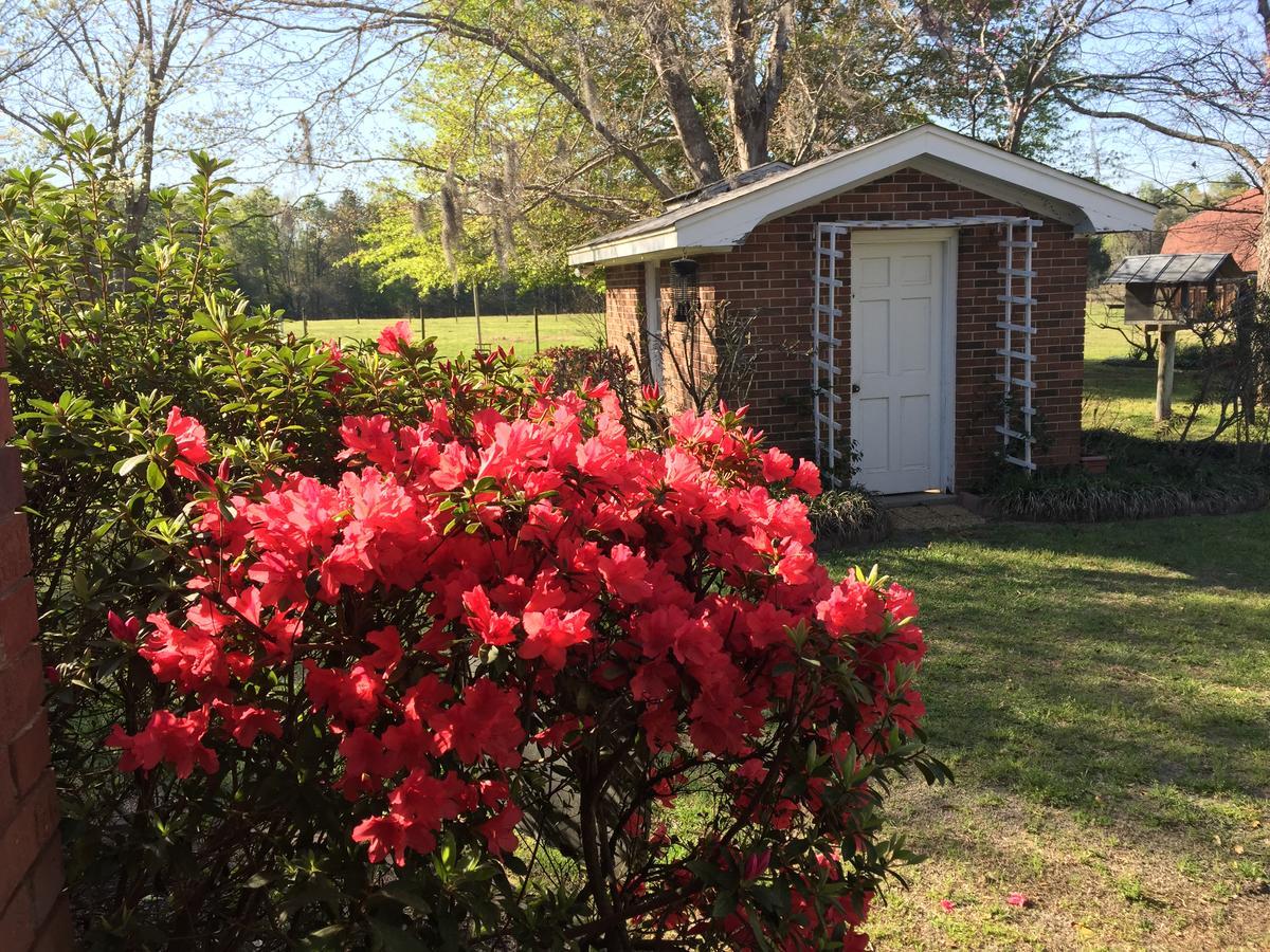 Dublin Farm Bed & Breakfast ภายนอก รูปภาพ