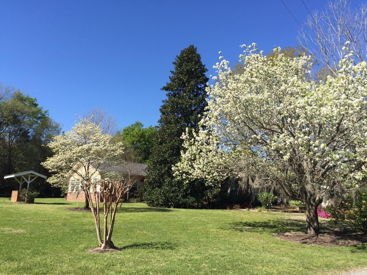 Dublin Farm Bed & Breakfast ภายนอก รูปภาพ