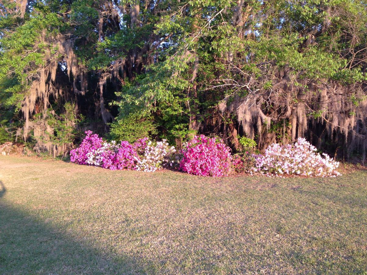 Dublin Farm Bed & Breakfast ภายนอก รูปภาพ