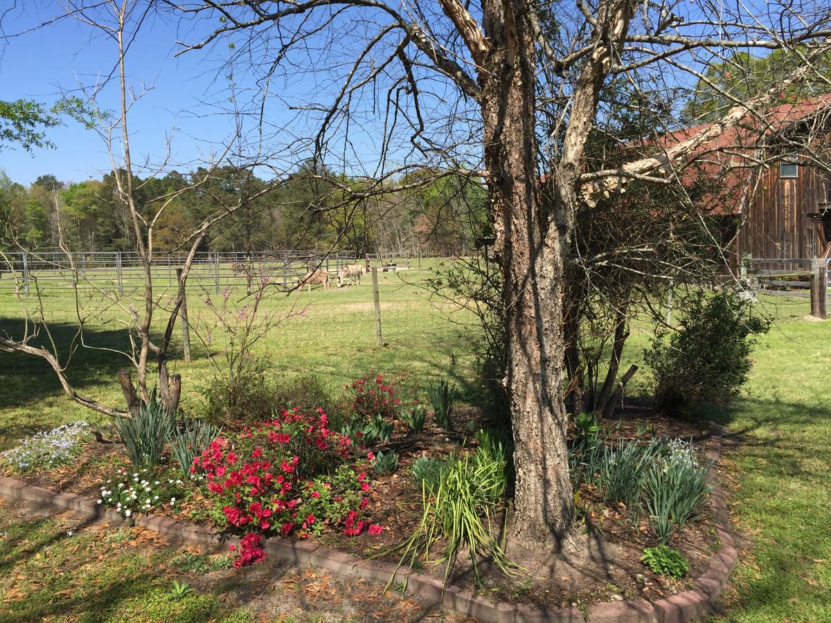 Dublin Farm Bed & Breakfast ภายนอก รูปภาพ
