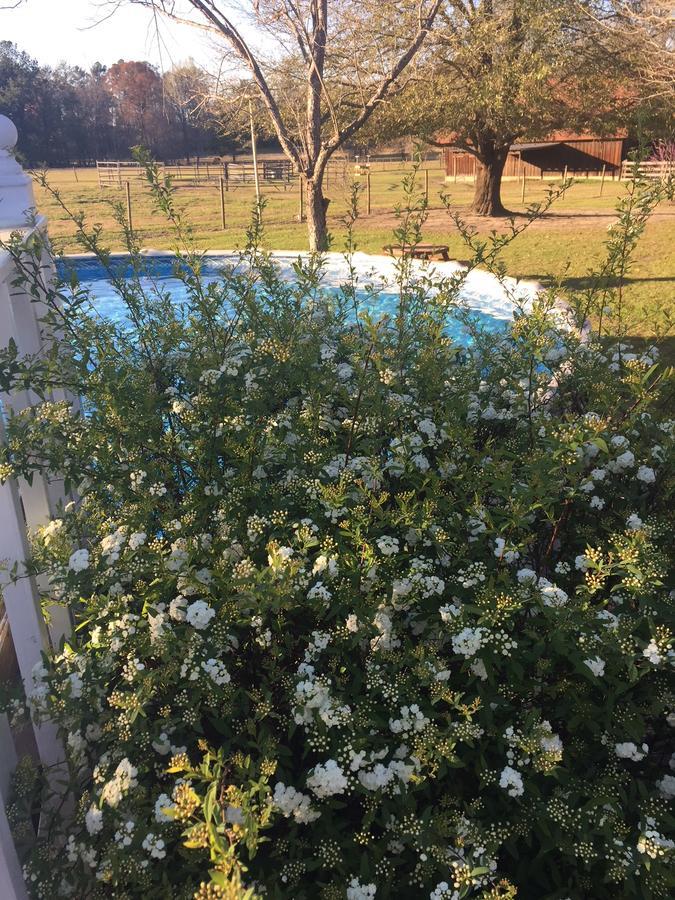 Dublin Farm Bed & Breakfast ภายนอก รูปภาพ