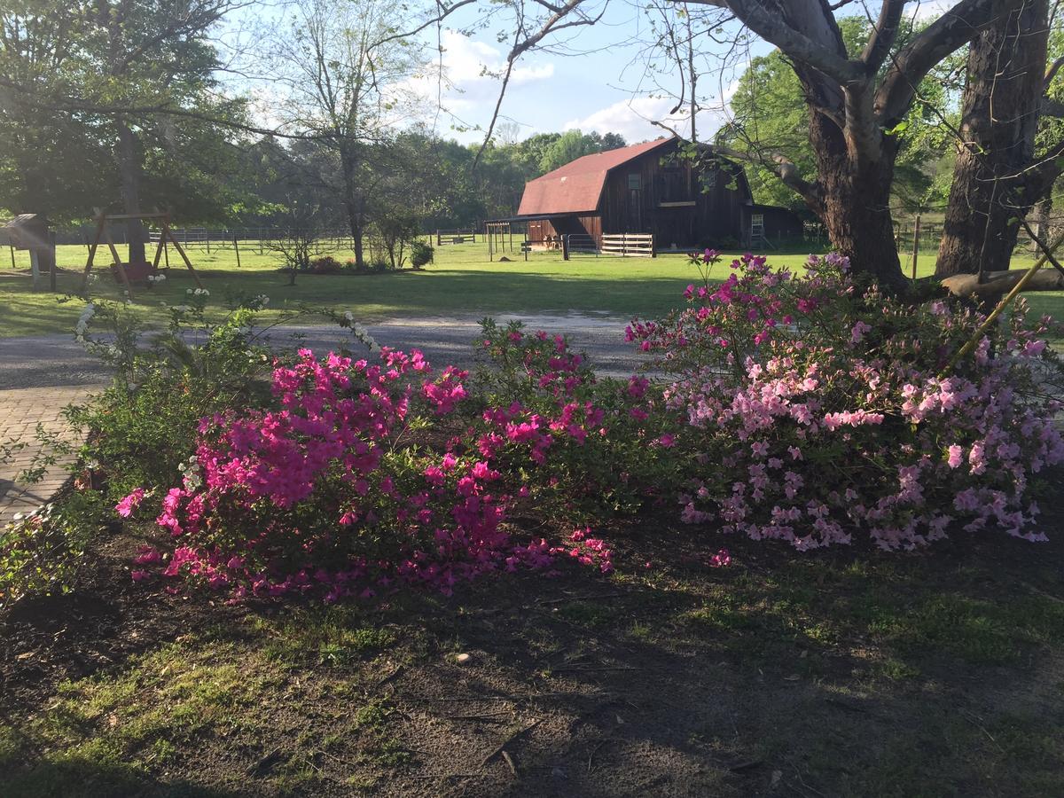 Dublin Farm Bed & Breakfast ภายนอก รูปภาพ